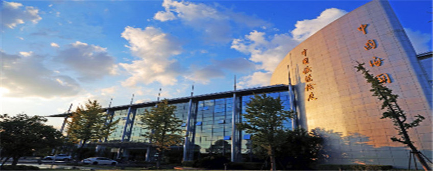 货物进口报关中低报价值违规吗？云顶集团报关行助您解惑